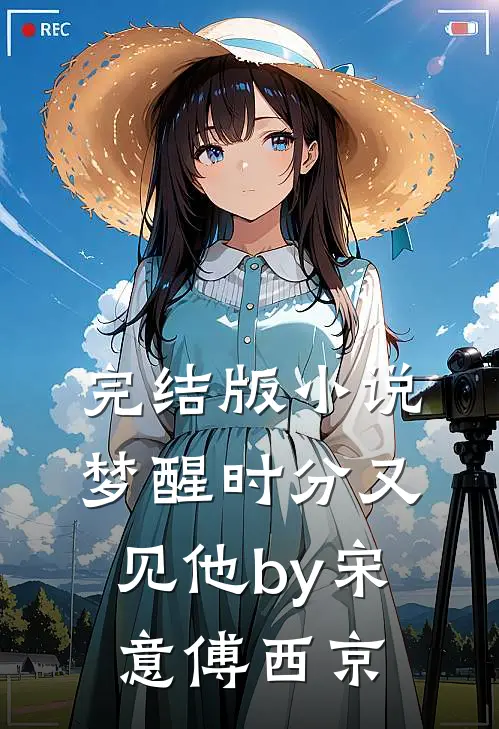 完结版小说梦醒时分又见他by宋意傅西京