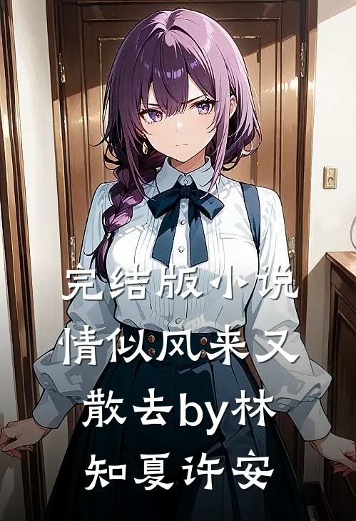 完结版小说情似风来又散去by林知夏许安