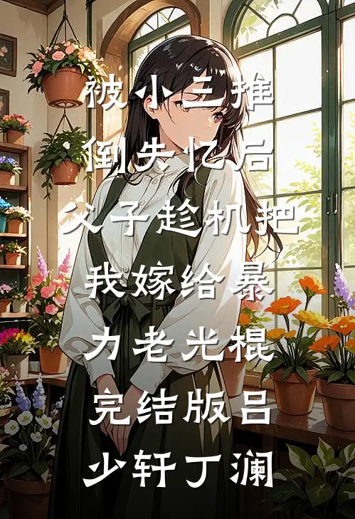 被小三推倒失忆后，父子趁机把我嫁给暴力老光棍完结版吕少轩丁澜