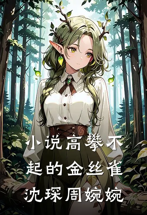 小说高攀不起的金丝雀(沈琛周婉婉)