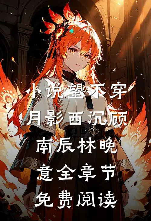小说望不穿月影西沉顾南辰林晚意全章节免费阅读