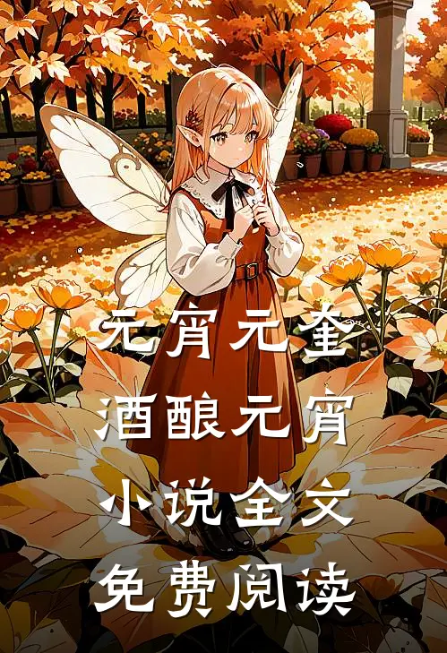 元宵元奎酒酿元宵小说全文免费阅读