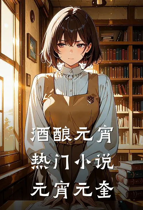 酒酿元宵热门小说元宵元奎