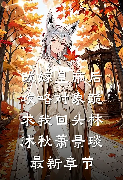 改嫁皇帝后，攻略对象跪求我回头林沐秋萧景琰最新章节