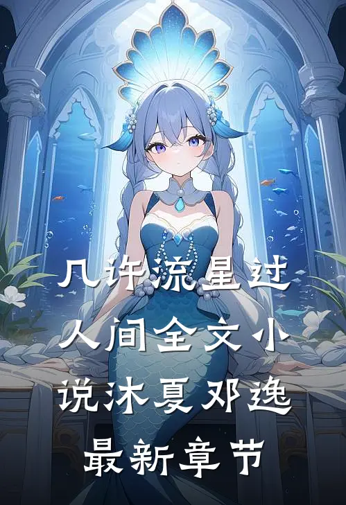 几许流星过人间全文小说沐夏邓逸最新章节