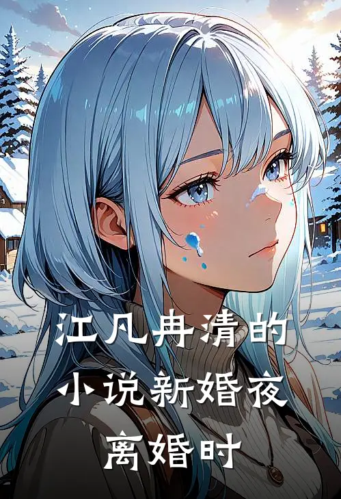 江凡冉清的小说新婚夜，离婚时