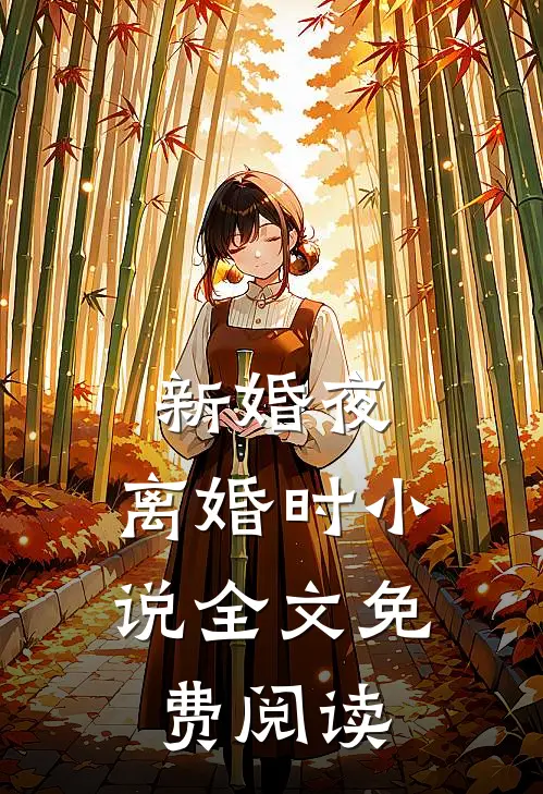 新婚夜，离婚时小说全文免费阅读