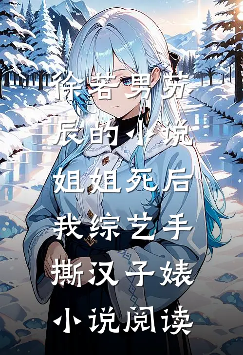 徐若男苏辰的小说姐姐死后，我综艺手撕汉子婊小说阅读