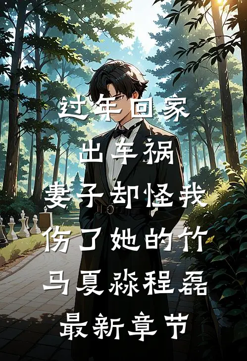 过年回家出车祸，妻子却怪我伤了她的竹马夏淼程磊最新章节