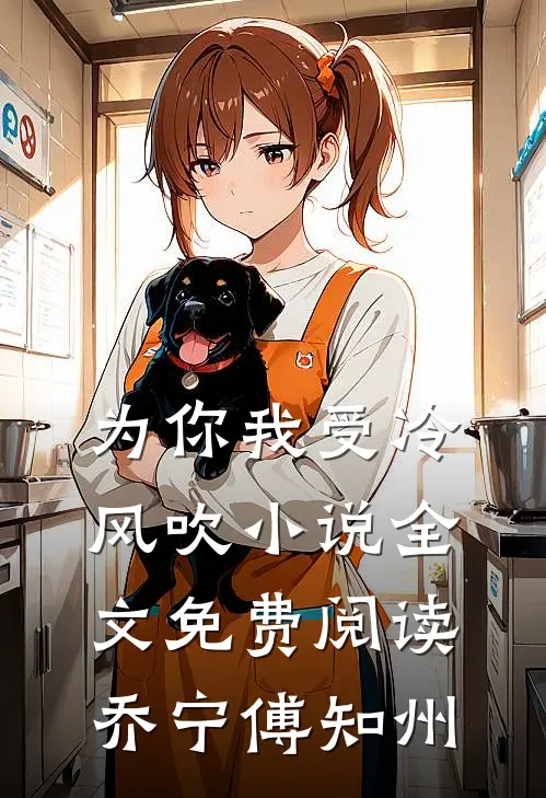 为你我受冷风吹小说全文免费阅读乔宁傅知州