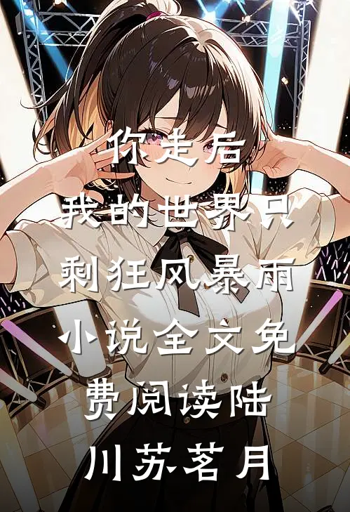 你走后，我的世界只剩狂风暴雨小说全文免费阅读陆川苏茗月