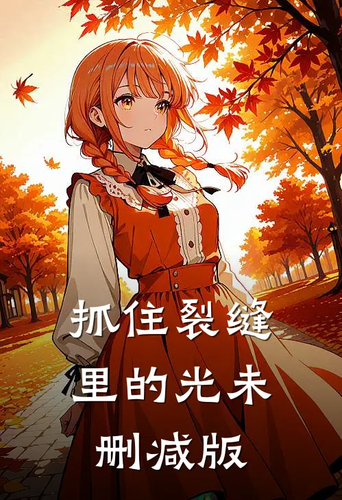 抓住裂缝里的光未删减版