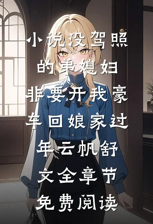 小说没驾照的弟媳妇，非要开我豪车回娘家过年云帆舒文全章节免费阅读