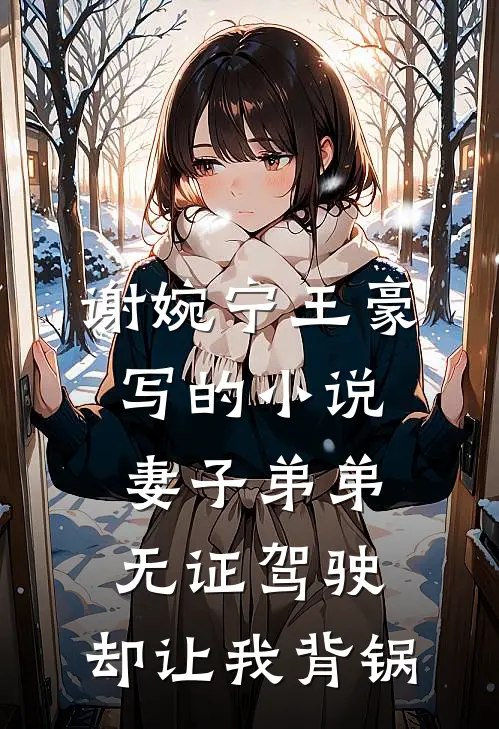 谢婉宁王豪写的小说妻子弟弟无证驾驶，却让我背锅