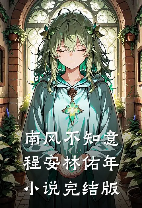南风不知意程安林佑年小说完结版