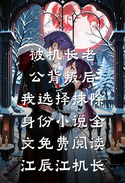 被机长老公背叛后，我选择抹除身份小说全文免费阅读江辰江机长