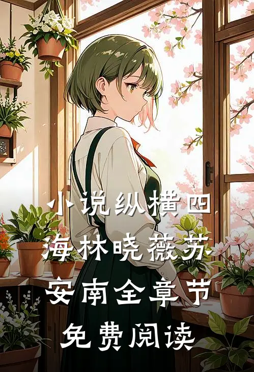 小说纵横四海林晓薇苏安南全章节免费阅读