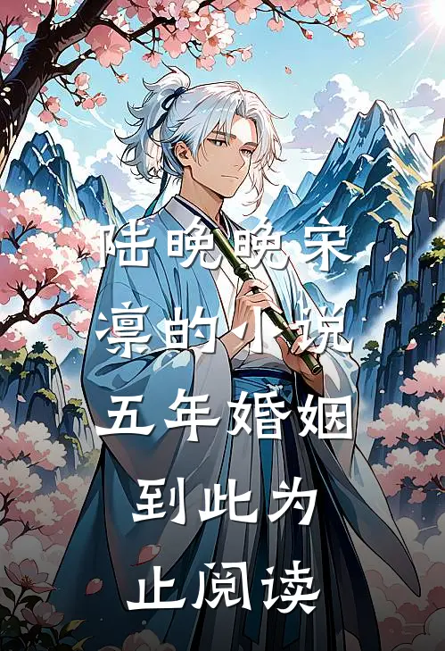 陆晚晚宋凛的小说五年婚姻，到此为止阅读