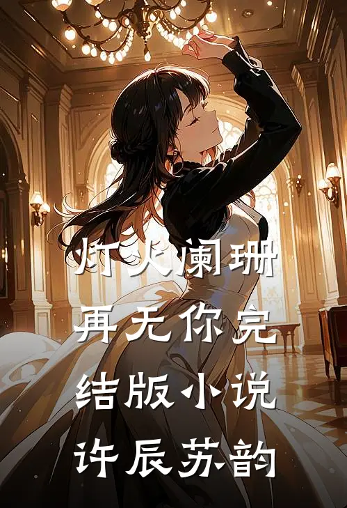 灯火阑珊再无你完结版小说许辰苏韵