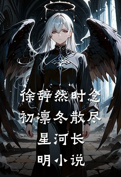 徐辞然时念初凛冬散尽，星河长明小说