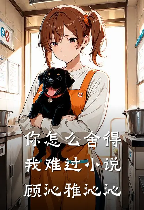 你怎么舍得我难过小说顾沁雅沁沁
