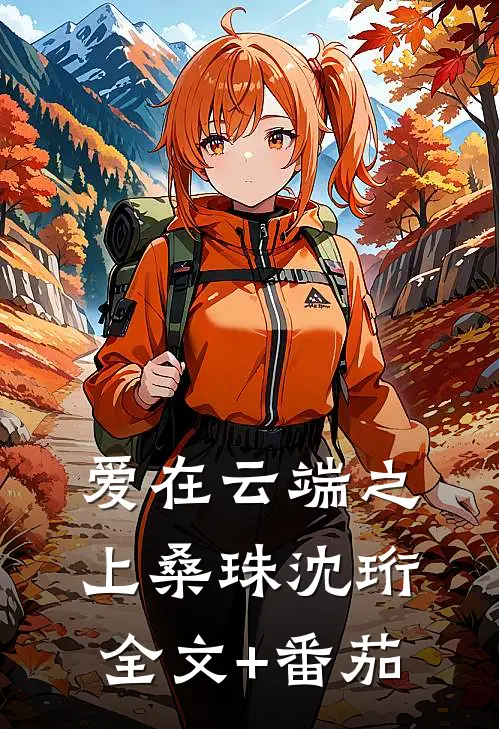 爱在云端之上桑珠沈珩全文+番茄