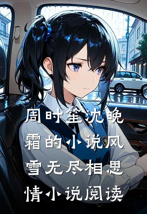 周时笙沈晚霜的小说风雪无尽相思情小说阅读