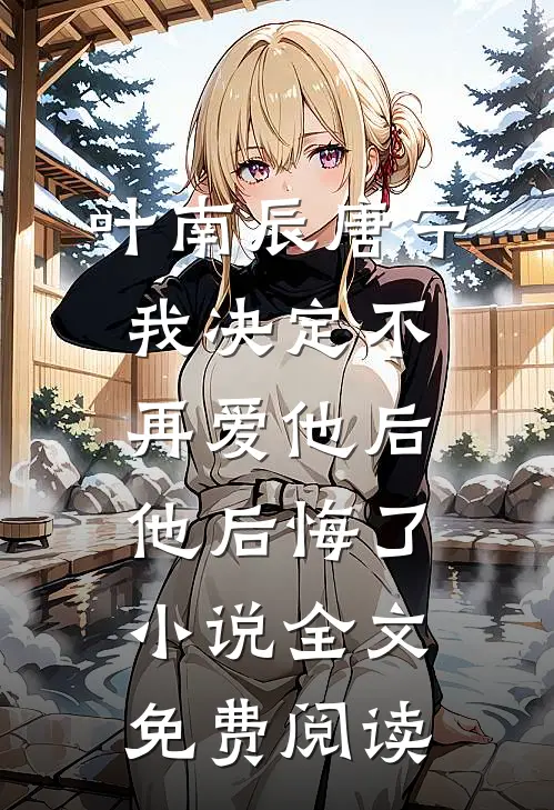 叶南辰唐宁我决定不再爱他后，他后悔了小说全文免费阅读