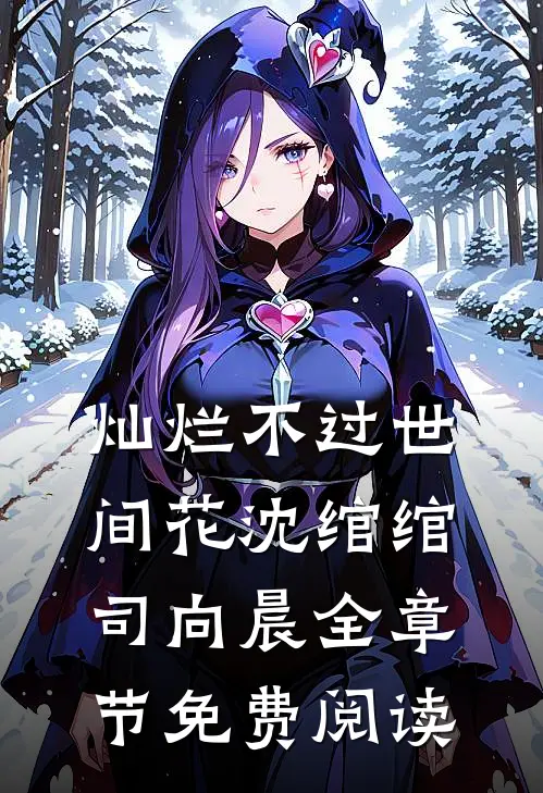 灿烂不过世间花沈绾绾司向晨全章节免费阅读