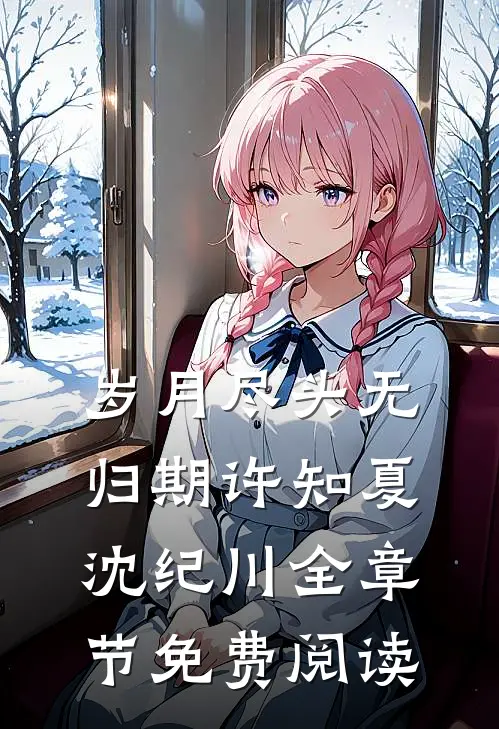 岁月尽头无归期许知夏沈纪川全章节免费阅读