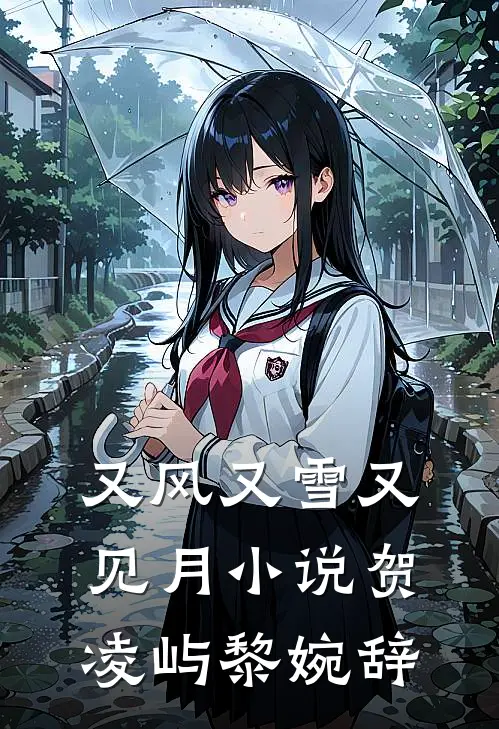 又风又雪又见月小说贺凌屿黎婉辞
