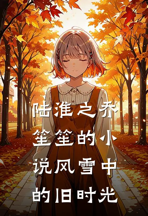 陆淮之乔笙笙的小说风雪中的旧时光