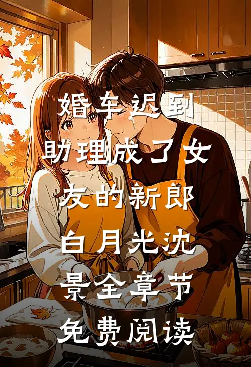 婚车迟到，助理成了女友的新郎白月光沈景全章节免费阅读