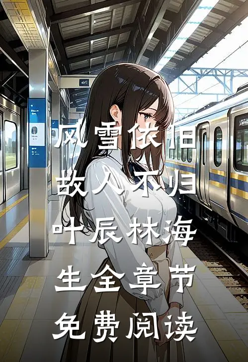 风雪依旧，故人不归叶辰林海生全章节免费阅读