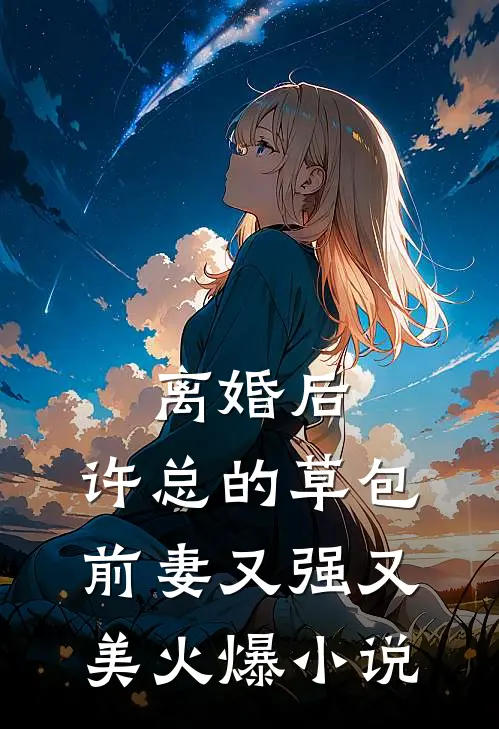 离婚后，许总的草包前妻又强又美火爆小说