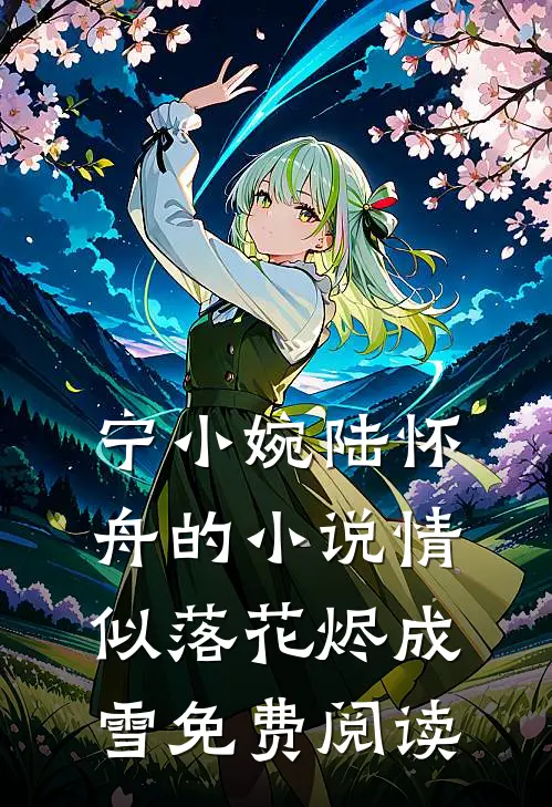 宁小婉陆怀舟的小说情似落花烬成雪免费阅读