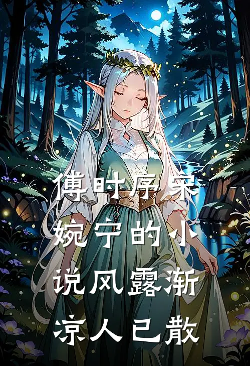 傅时序宋婉宁的小说风露渐凉人已散
