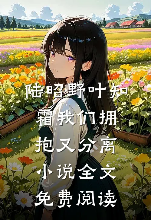 陆昭野叶知霜我们拥抱又分离小说全文免费阅读