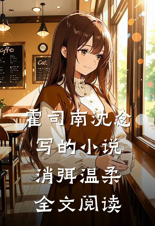 霍司南沈念写的小说消弭温柔全文阅读