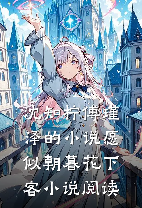 沈知柠傅瑾泽的小说愿似朝暮花下客小说阅读