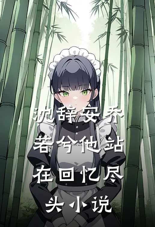 沈辞安乔若兮他站在回忆尽头小说