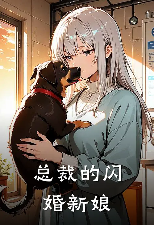 总裁的闪婚新娘