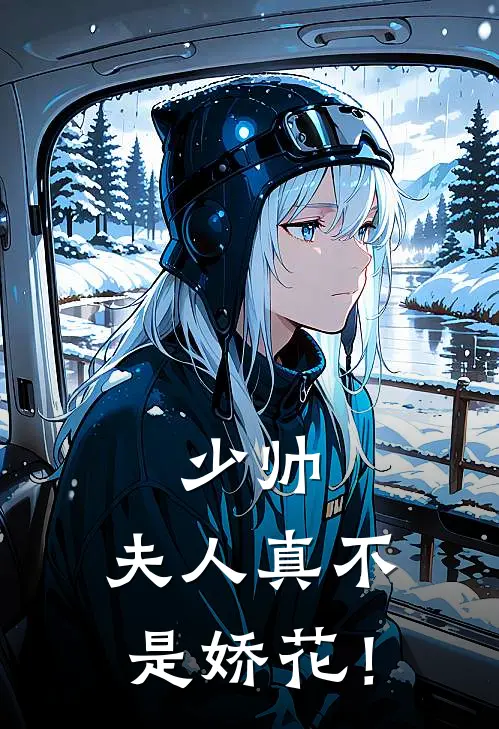 少帅，夫人真不是娇花！