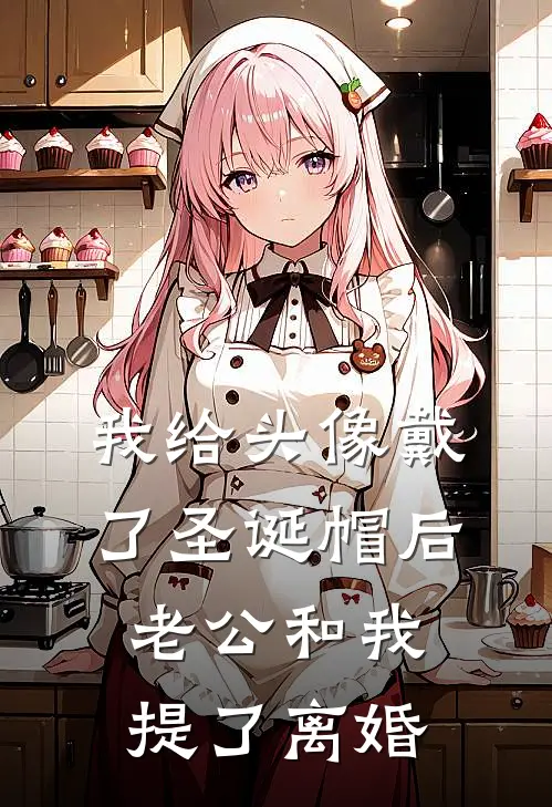 我给头像戴了圣诞帽后，老公和我提了离婚
