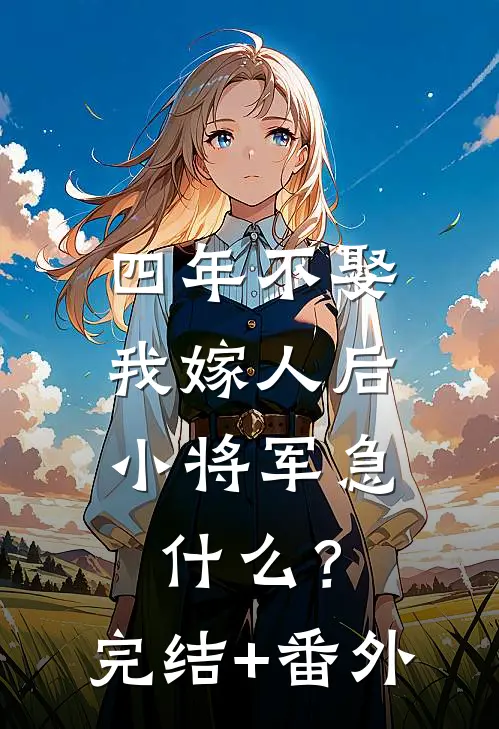 四年不娶，我嫁人后小将军急什么？完结+番外