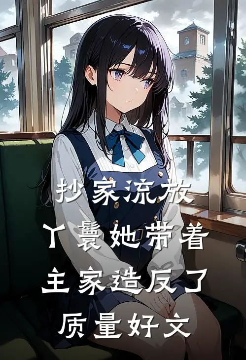 抄家流放,丫鬟她带着主家造反了质量好文