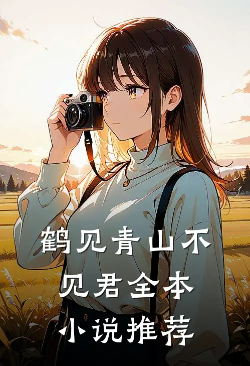 鹤见青山不见君全本小说推荐