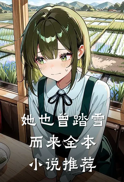 她也曾踏雪而来全本小说推荐