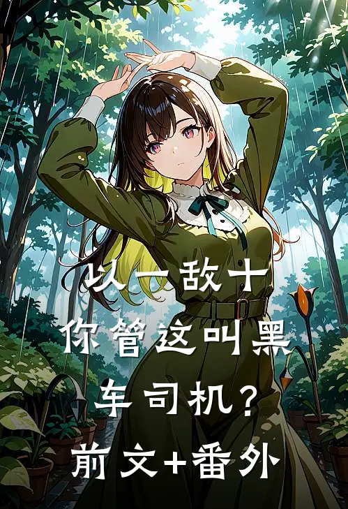 以一敌十，你管这叫黑车司机？前文+番外