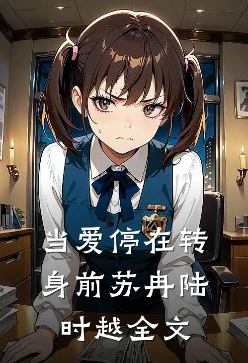 当爱停在转身前苏冉陆时越全文